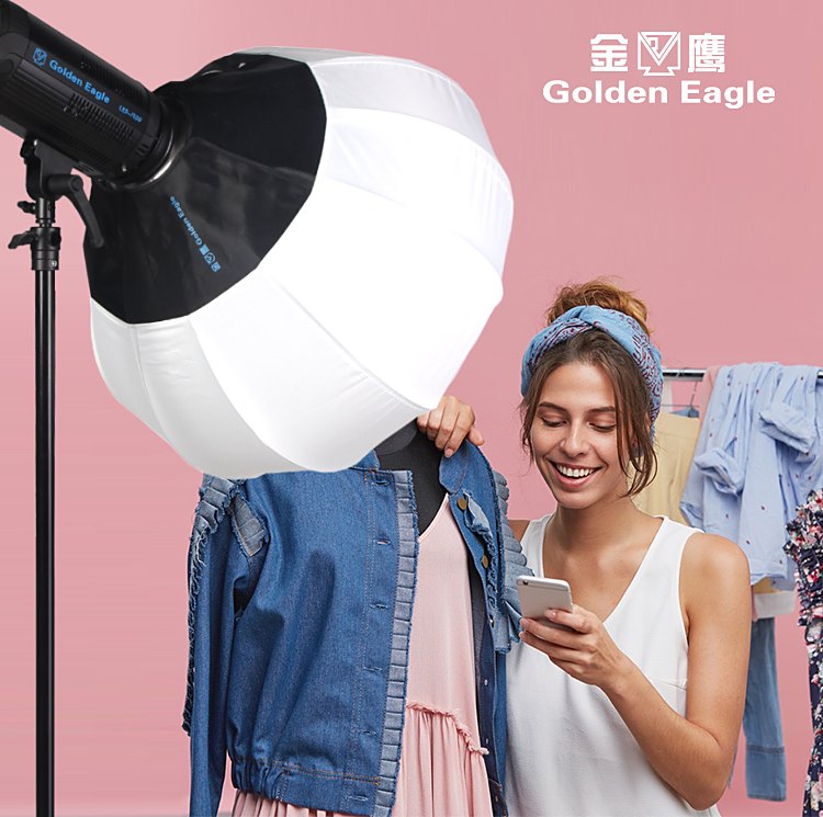 LED 2000Bi in a softbox lighting a fashion presenter